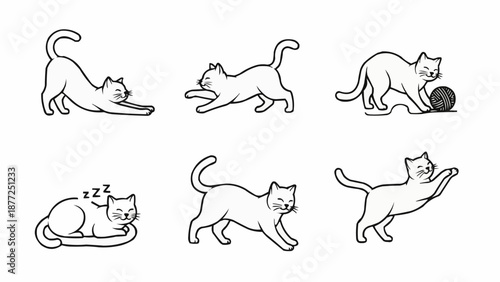 Collection of six cute cat illustrations in different poses.