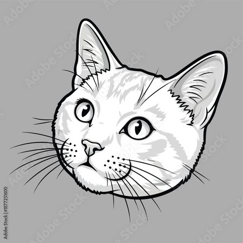 Curious Cat Head Illustration