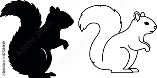 Squirrel silhouette and line art icon