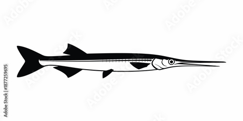 Black silhouette of a needlefish or garfish black and white