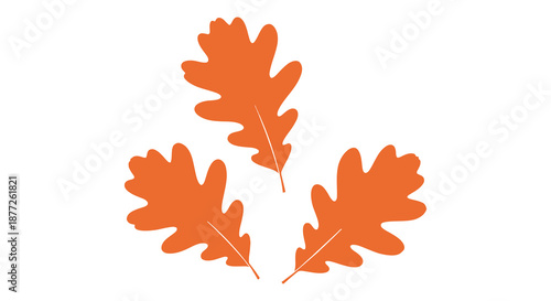 Autumnal arrangement of three vibrant orange oak leaves displayed against a clean white background silhouette