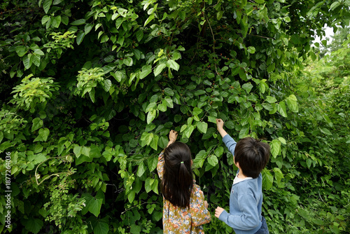 아이들이 나무를 만지고 있어요