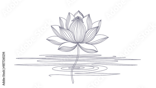 Elegant dark blue line art drawing of a blooming lotus flower on water