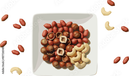 Mixed nuts snack vector illustration with peanuts and cashews in bowl isolated on white background for healthy food design