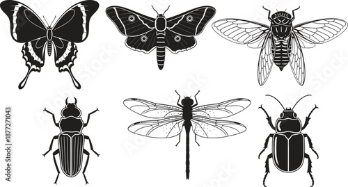Insects icons set with butterfly, moth, cicada, beetle, dragonfly