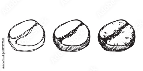 Set of hand drawn fresh roasted coffee bean Arabica robusta seed doodle Single element for design print packaging label decor