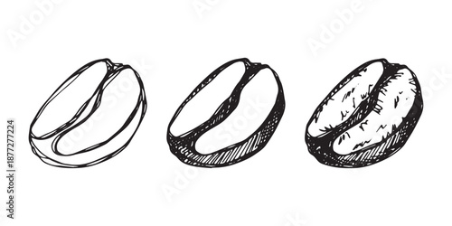 Set of hand drawn fresh roasted coffee bean Arabica robusta seed doodle Single element for design print packaging label decor