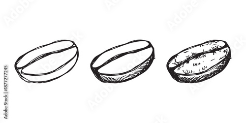 Set of hand drawn fresh roasted coffee bean Arabica robusta seed doodle Single element for design print packaging label decor