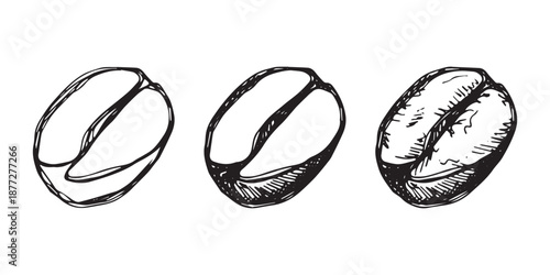 Set of hand drawn fresh roasted coffee bean Arabica robusta seed doodle Single element for design print packaging label decor