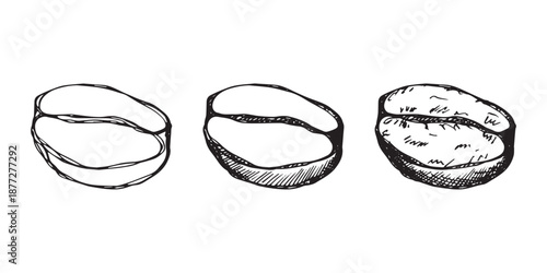 Set of hand drawn fresh roasted coffee bean Arabica robusta seed doodle Single element for design print packaging label decor