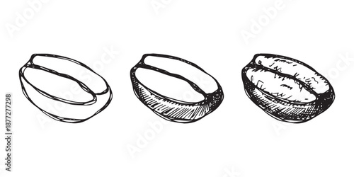 Set of hand drawn fresh roasted coffee bean Arabica robusta seed doodle Single element for design print packaging label decor