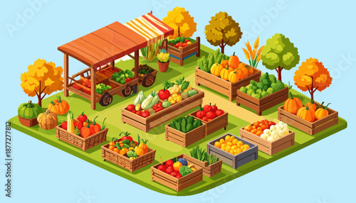 Harvest Season isometric Illustration Scene with Farmers and Crops in Warm Autumn Landscape