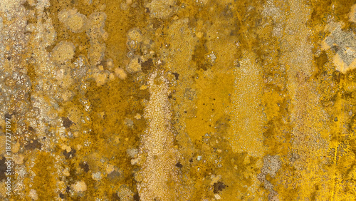 Abstract yellow lichen texture on weathered stone surface with organic patterns, rough mineral details and earthy tones, natural grunge background inspired by erosion and time.