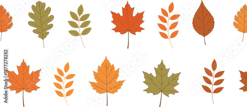 Autumn leaves illustration set with various fall foliage shapes representing seasonal nature, harvest, and botanical design elements