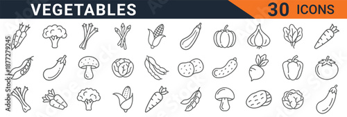 AA Icons Set Template