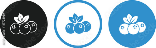 Blueberry fruit icon set with circular badges representing fresh organic food, healthy nutrition, and modern flat vector design