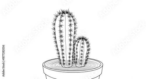 Two prickly cacti growing together in a plain flower pot depicted in a detailed black and white line art sketch on a white background.