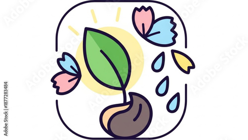 Sprouting seedling with leaves and raindrops in sunshine