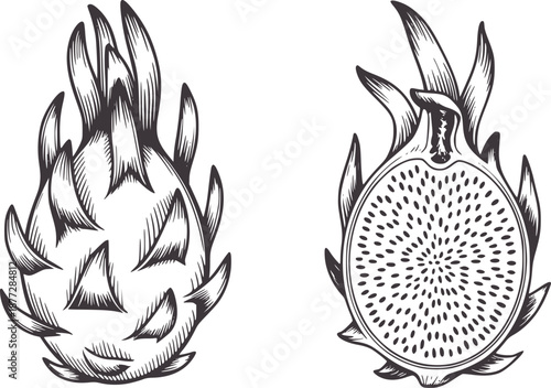 Black and line of whole and halved dragon fruit dragonfruit pitaya