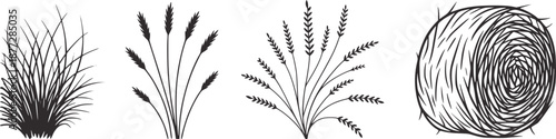 Black line grass wheat stalks and hay bale