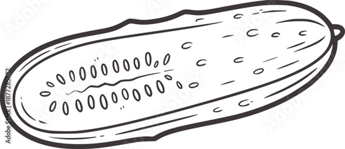 Hand drawn line of a cucumber slice with visible seeds and textured skin food vegetable