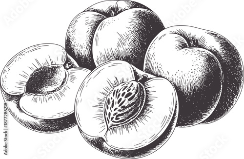 Monochrome line of three whole and two halved peaches with pits fruit