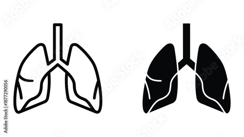 Simple illustration of human lungs anatomy