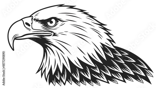 Majestic eagle head profile, symbol of power and freedom