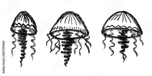 Set of hand drawn jellyfish doodle Sea animal illustration Cute marine underwater creature Medusa sketch clipart Single element for web, design, decor, children's print