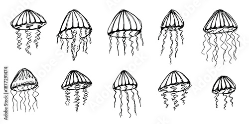 Set of hand drawn jellyfish doodle Sea animal illustration Cute marine underwater creature Medusa sketch clipart Single element for web, design, decor, children's print