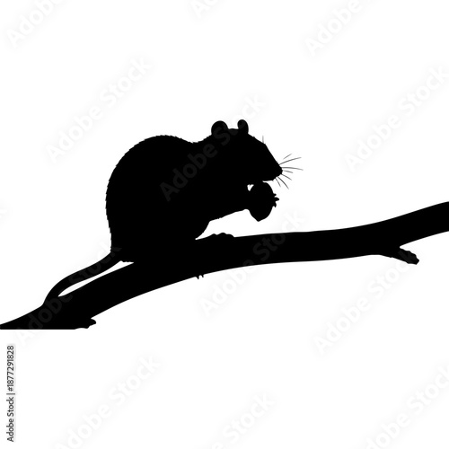 Squirrel on a Branch