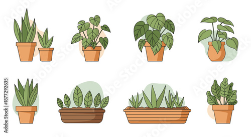 Diverse collection of indoor house plants in various shapes and sizes of terracotta pots and wooden planters for home decor.
