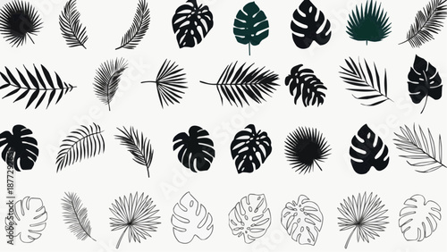 set of black silhouettes of leaves