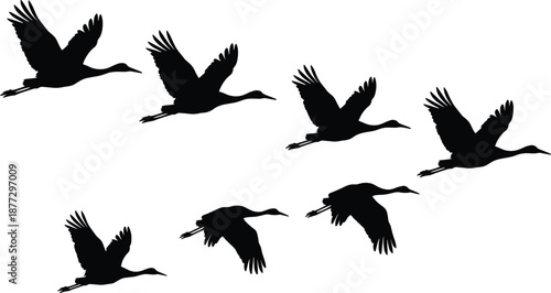 Flying geese silhouettes in smooth formation, migratory bird flock in motion, wildlife vector illustration isolated on white background nature concept