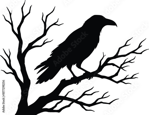Raven silhouette perched on bare tree branch, dark gothic wildlife illustration for Halloween, mystery, nature symbolism, spooky design, and dramatic night themed projects