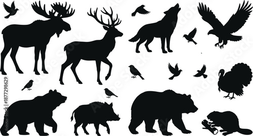 Forest wildlife silhouette collection featuring mammals and birds including deer, bear, wolf, moose, and eagle, black vector animal illustrations isolated on white background