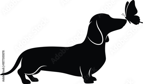 Dachshund dog silhouette watching butterfly, playful curiosity concept, cute animal interaction, minimalist black illustration, pet nature moment, whimsical design, isolated white background
