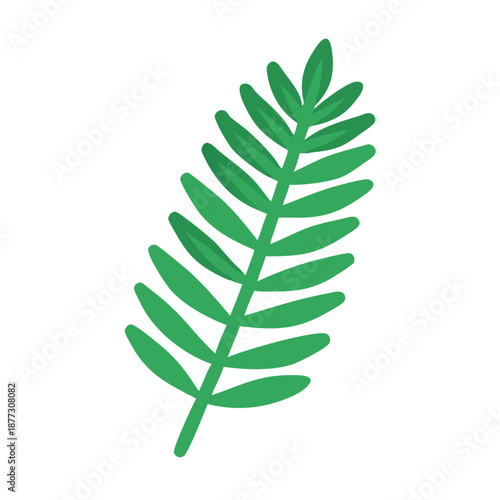 Isolated green fern frond on White Background illustration graphic