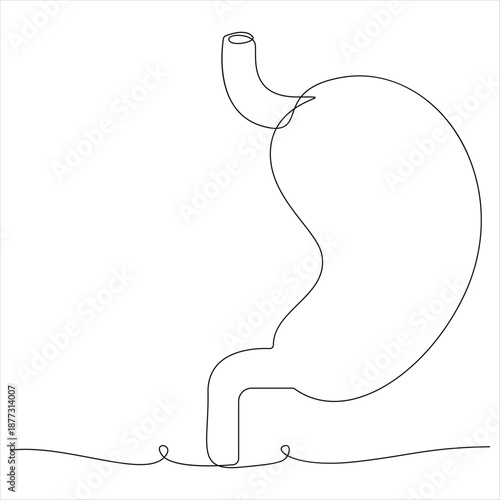 One continuous line drawing of stomach organ human gastrointestinal line art vector illustration