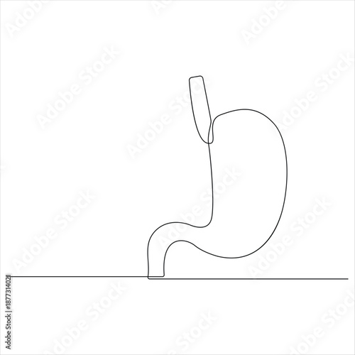 One continuous line drawing of stomach organ human gastrointestinal line art vector illustration