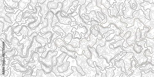 Abstract Topographic Map Contour Lines Pattern