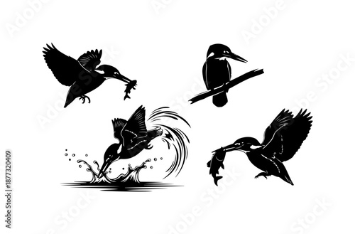 Bird Silhouettes in Flight