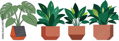 WebFour vibrant potted house plants including a monstera deliciosa with a calla lily bloom stand together suggesting indoor gardening decor and botanical arrangement concepts.