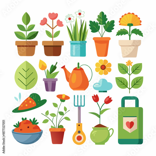 Collection of plants in pots and gardening tools
