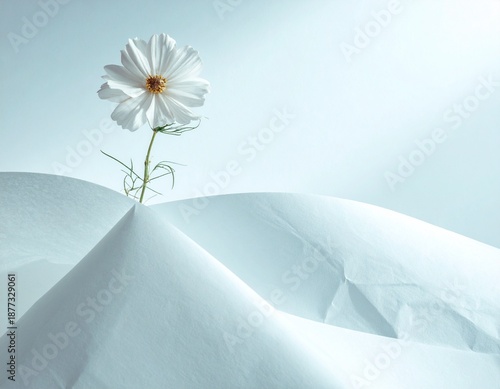 A serene white flower standing alone on a wavy fabric texture background from a low angle viewpoint