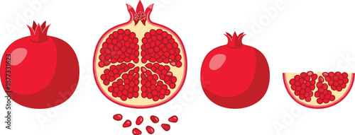Pomegranate fruit illustration, flat vector illustration, whole and sliced, seeds detail, stylized design, anatomy, vibrant, healthy, organic