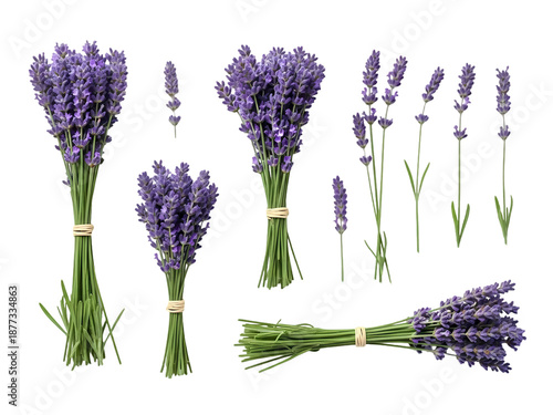 Bundles of fresh lavender flowers on black background