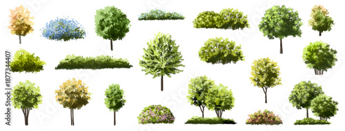  Vector watercolor green  tree or forest side view isolated on white background for landscape and architecture drawing,elements for environment or and garden,Shrub for section