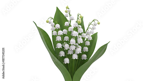 Bouquet of Lily of the Valley flowers
