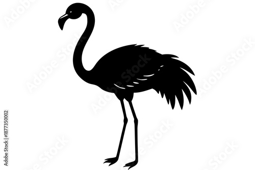 vector illustration of a flamingo
